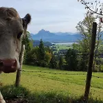 Apartment Alpenblick 2, Bergblick Pur im Allgäu *