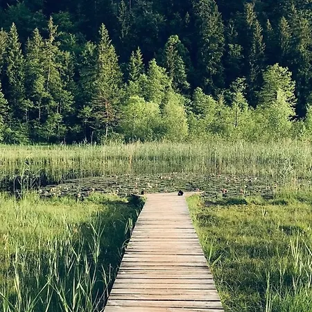 Apartment Alpenblick 2, Im Allgaeu, Bergblick Pur - Neueroeffnung!