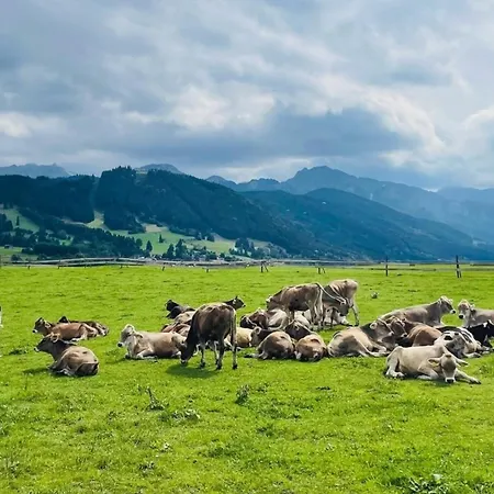 Апартаменты Alpenblick 2, Bergblick Pur Im Allgaeu Хальблех