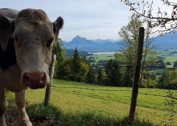 Alpenblick 2, Im Allgäu, Bergblick Pur - Neueröffnung! *