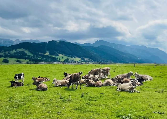 Apartment Alpenblick 2, Im Allgäu, Bergblick Pur - Neueröffnung! Halblech